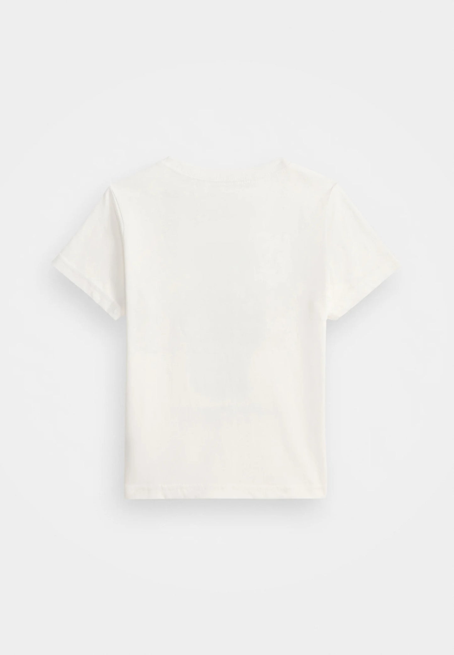 Polo Ralph Lauren T-shirt con stampa WHITE